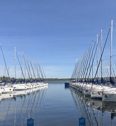 IMG_8628.jpeg