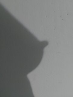 1000011312.jpg