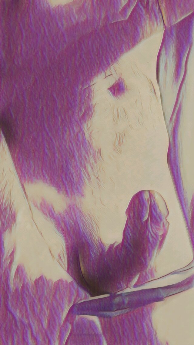 N1981