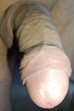 3300.jpg