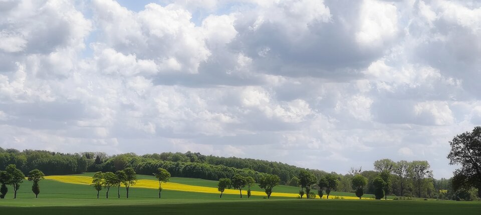 25264.jpg - Leszyforest86