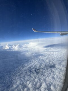 IMG_6652.jpeg