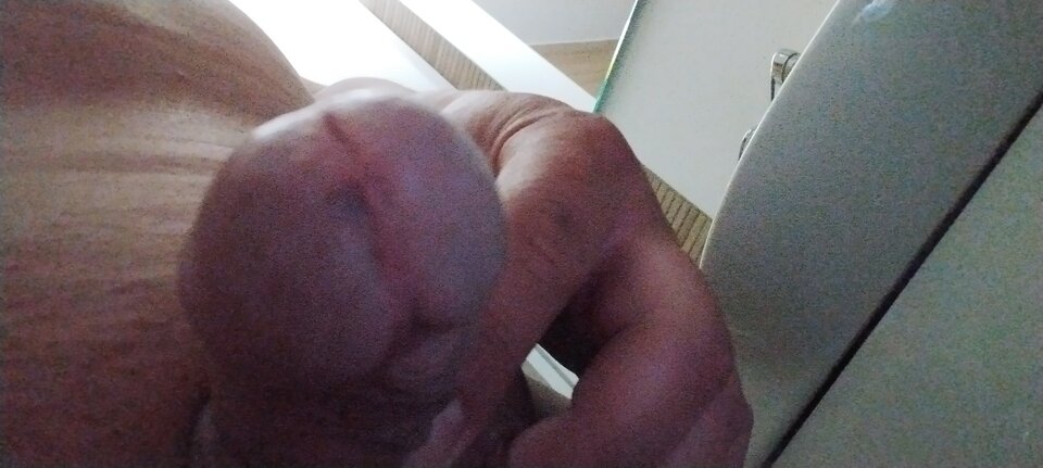 1000002474.jpg - Miki2358