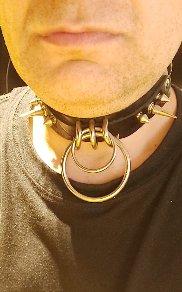 20251128_204707.jpg - Slavedog80