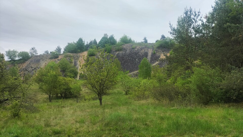 1000013925.jpg - Skrspoko
