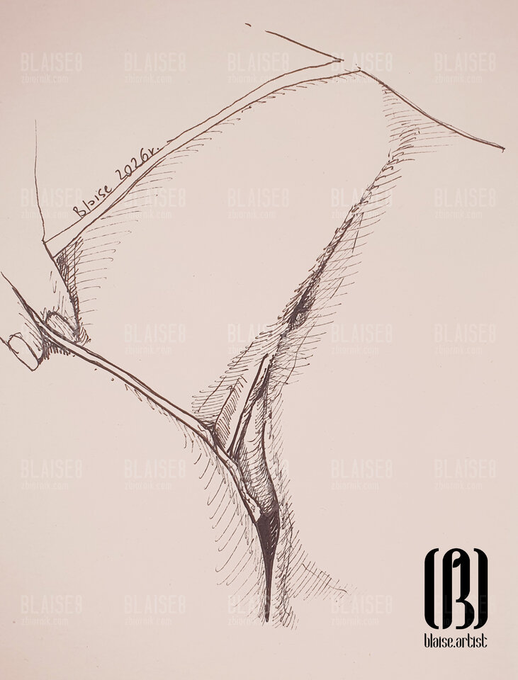 Art. No. 400 - blaise8
