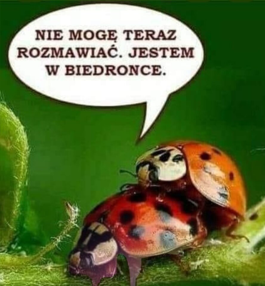 1000059819.jpg - KremdelaKrem