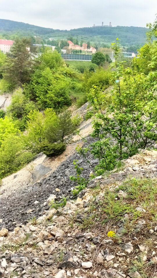 1000013949.jpg - Skrspoko
