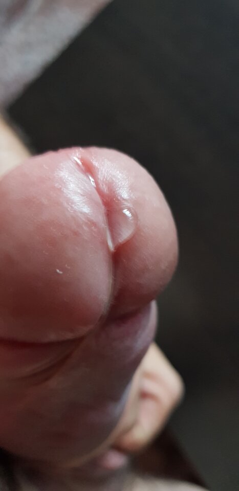 20221010_171718.jpg - arek00x