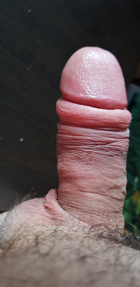 20221010_171726.jpg - arek00x