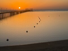 IMG_3514.jpeg