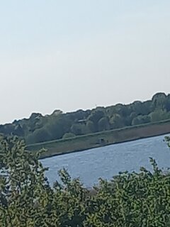 20260510_165243.jpg