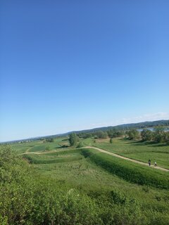 20260510_165216.jpg
