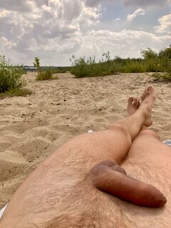 Konar oraz roślinność na plaży na Wale Zawadowskim☀️😎