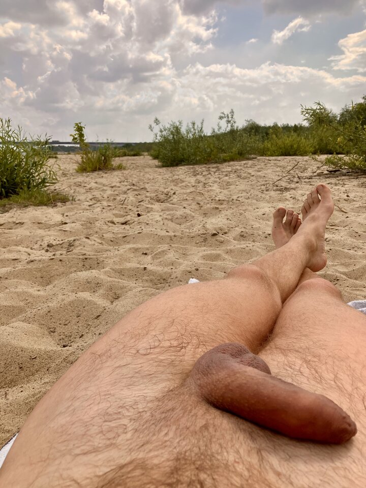 Konar oraz roślinność na plaży na Wale Zawadowskim☀️😎 - Plazowicz3city