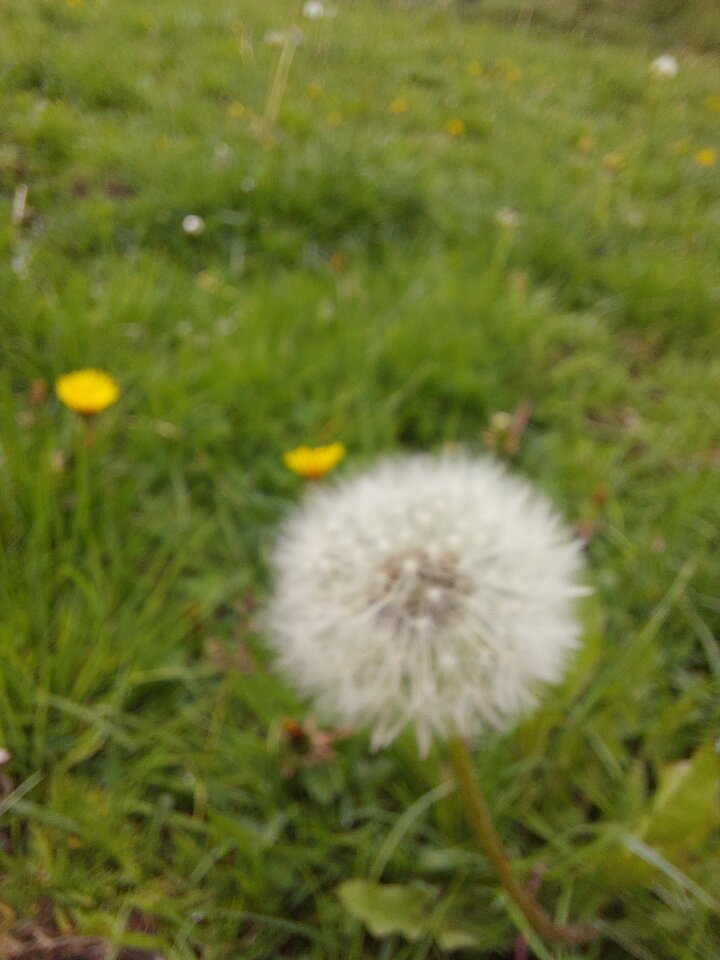 1000000037.jpg - Wodnik94