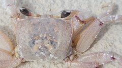 20220612_110231.jpg