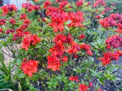 IMG_0841.jpeg