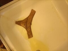 IMG20230430193352.jpg