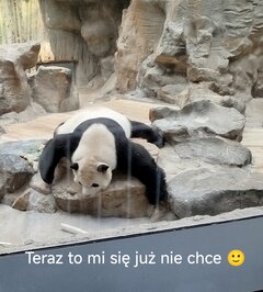 IMG_20260522_083301.jpg