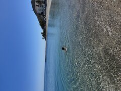 IMG_9030.jpeg
