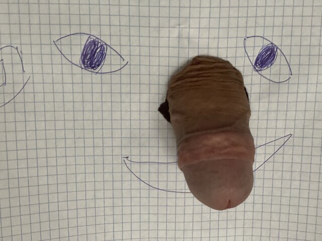 Poeta69