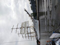 IMG_20240826_102553.jpg