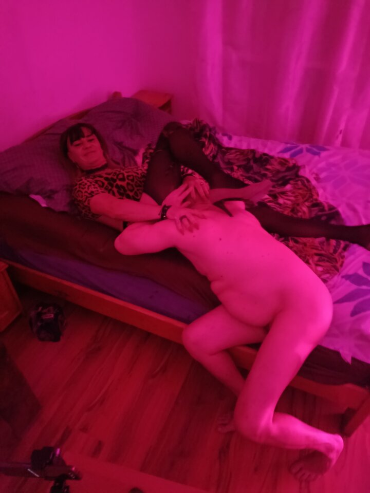 3331.jpg - trans4fun