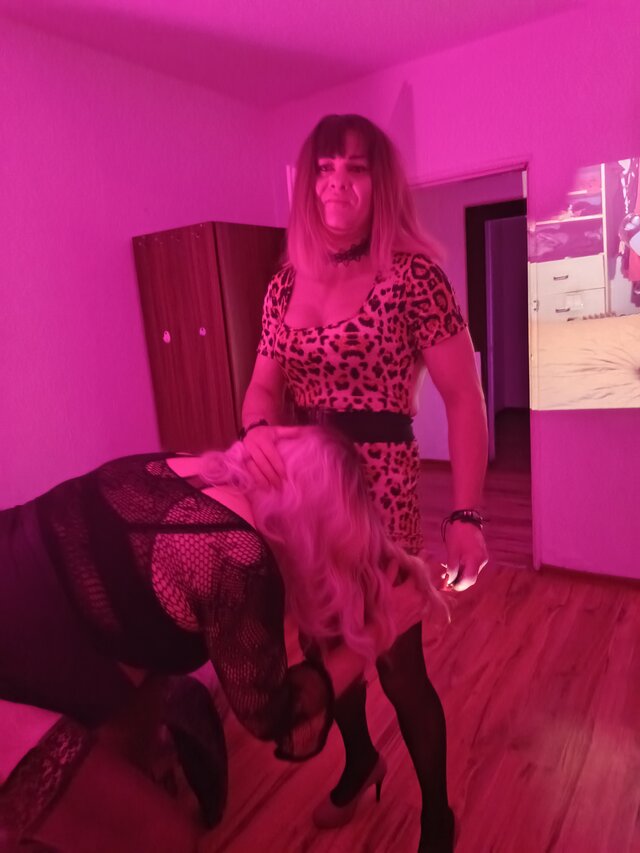 trans4fun