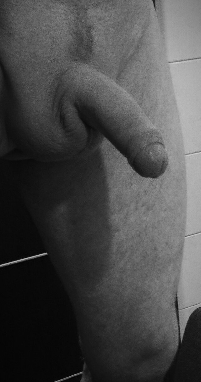 Bibartbi1