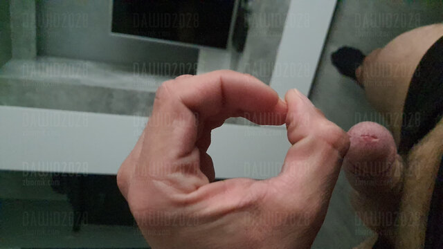 Dawid2028