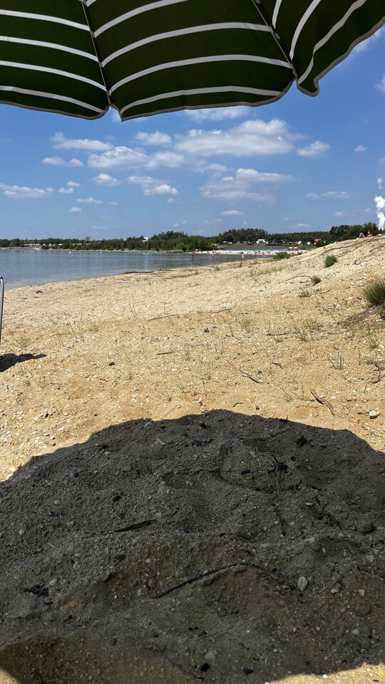 IMG_1809.jpeg - para0