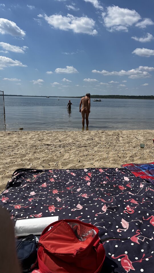 IMG_1811.jpeg - para0