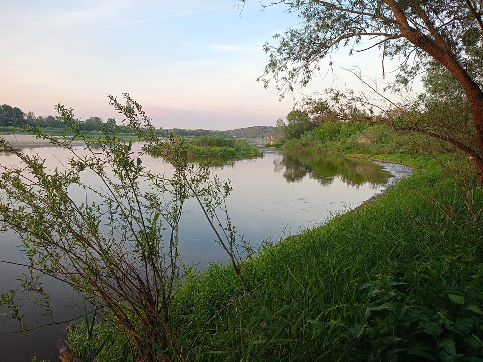 1000024129.jpg - Tezet2023