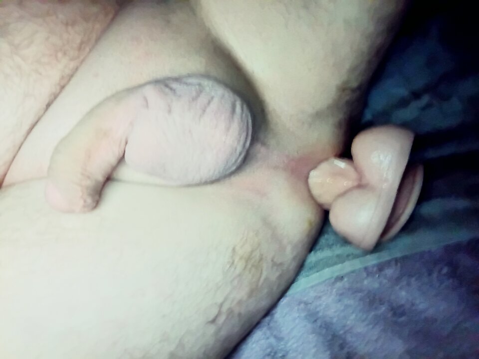 1000014853.jpg - rafal1410