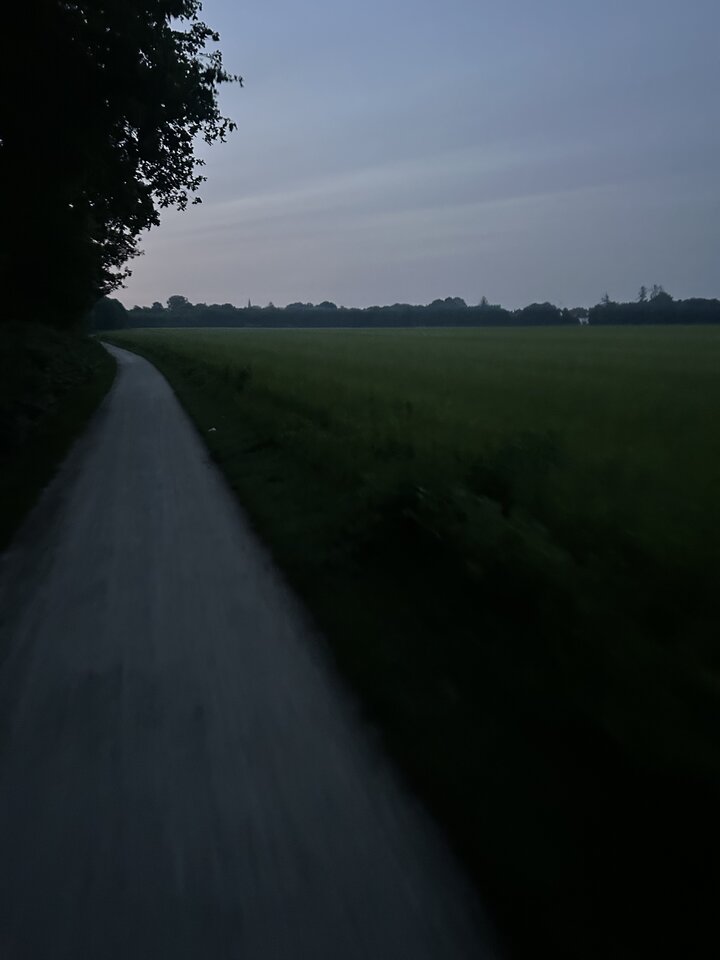Poranny trening . Pełna wolność na łonie natury. - Mroczny94