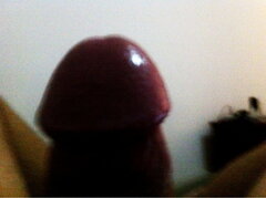 ffff_022_2.jpg