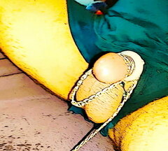 ffff_117_2.jpg