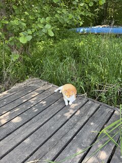 IMG_6693.jpeg