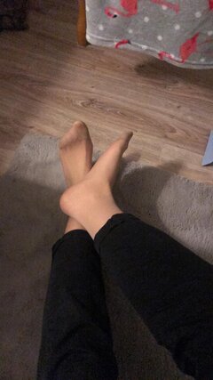 6317.jpg