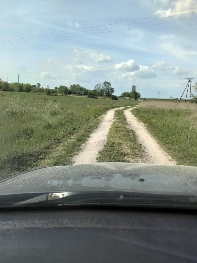 Wszolek