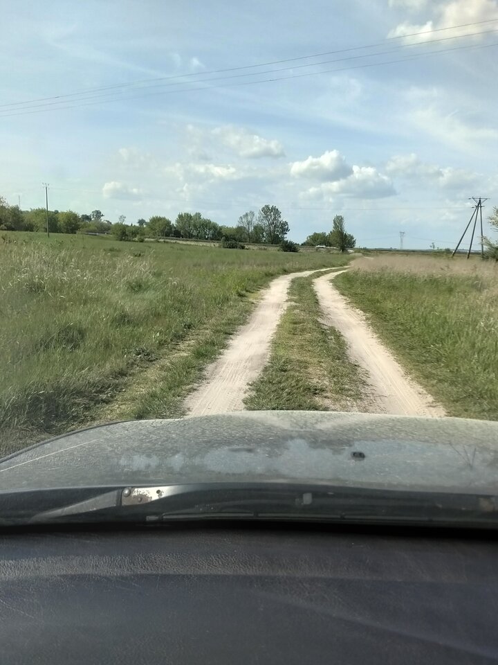 3434.jpg - Wszolek