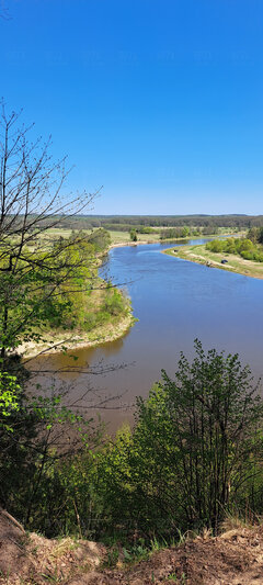 20260524_123045.jpg