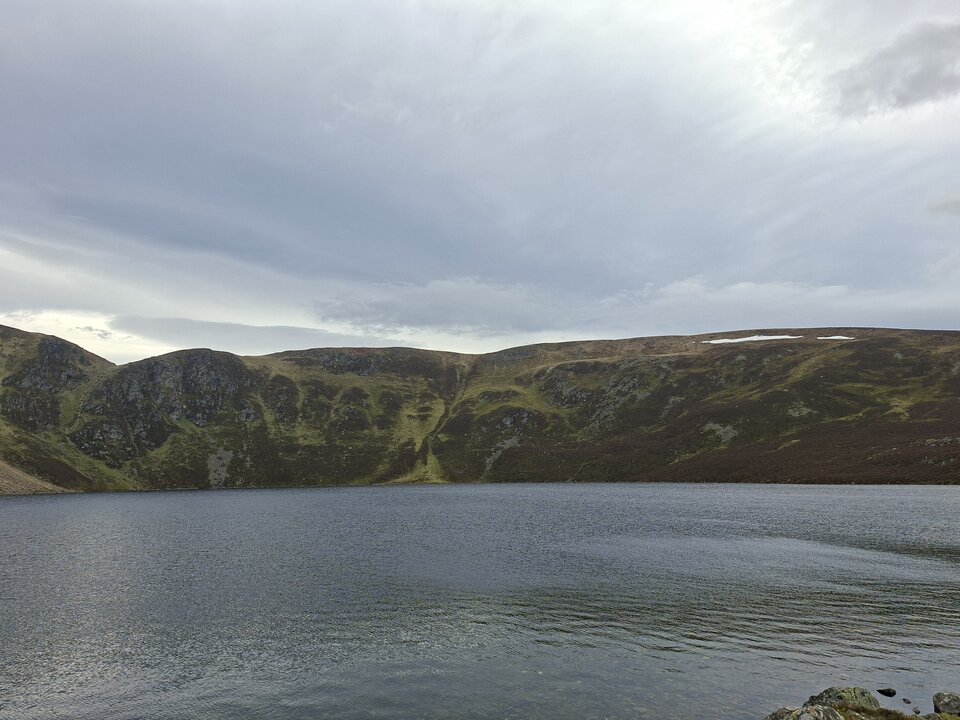 1000020586.jpg - Darco49