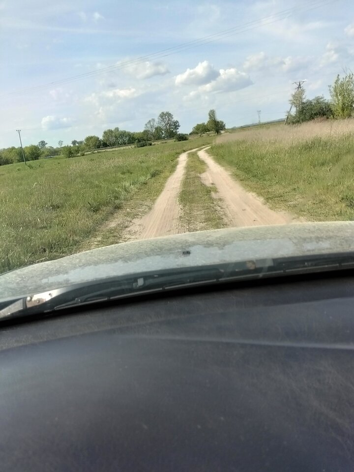 3433.jpg - Wszolek