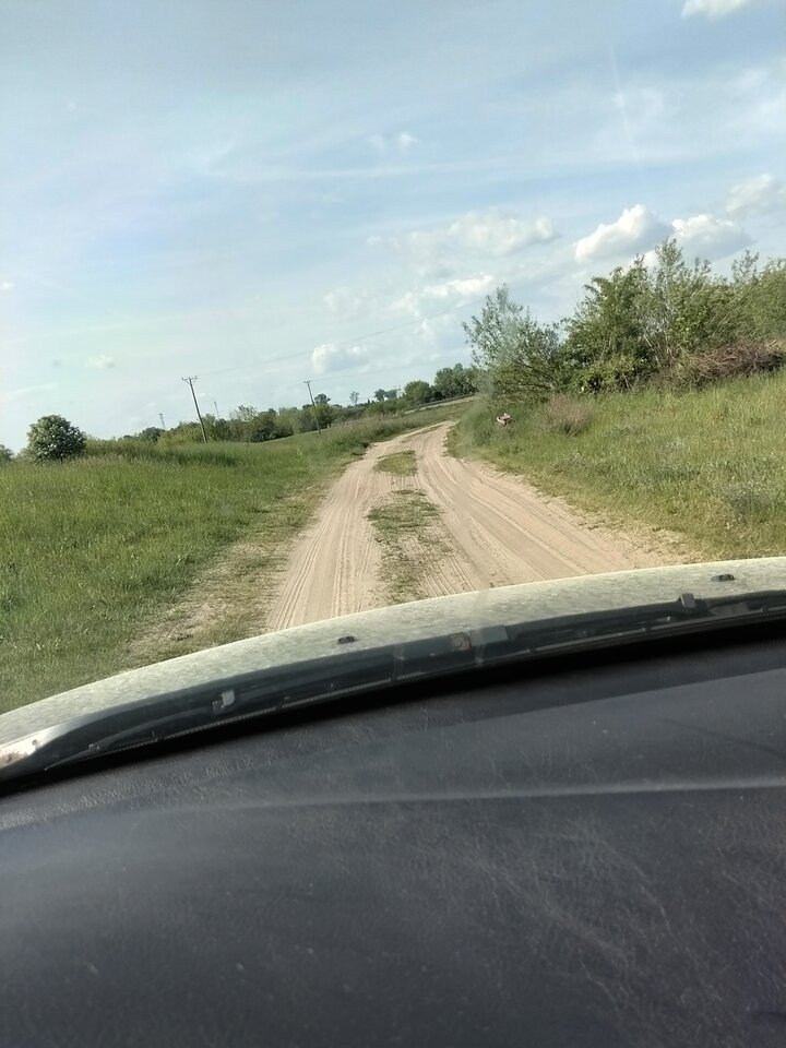 3432.jpg - Wszolek