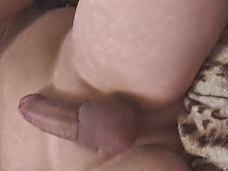 3219.jpg - paraa1234