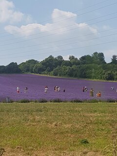 20180708_144923.jpg