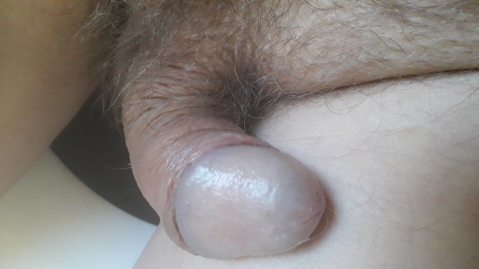 20260525_074144.jpg - 11igor11