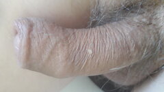 20260525_074251.jpg
